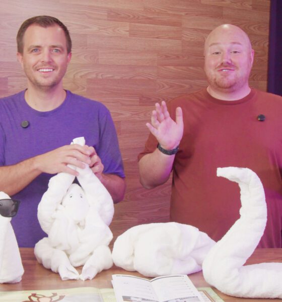 Elephant, Monkey, and Swan Towel Animals