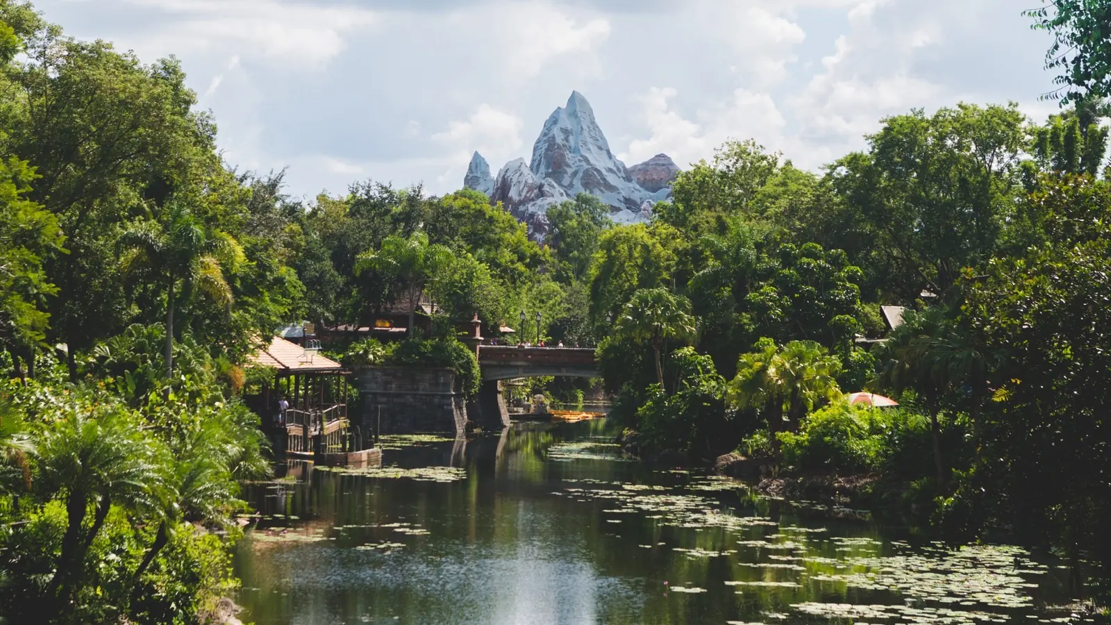 Expedition Everest beyond a tree-lined river and stone bridge at Disney’s Animal Kingdom.