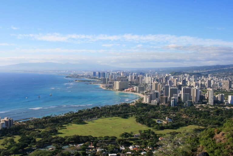 Looking out at Waikiki Beach from a viewpoint high above.
