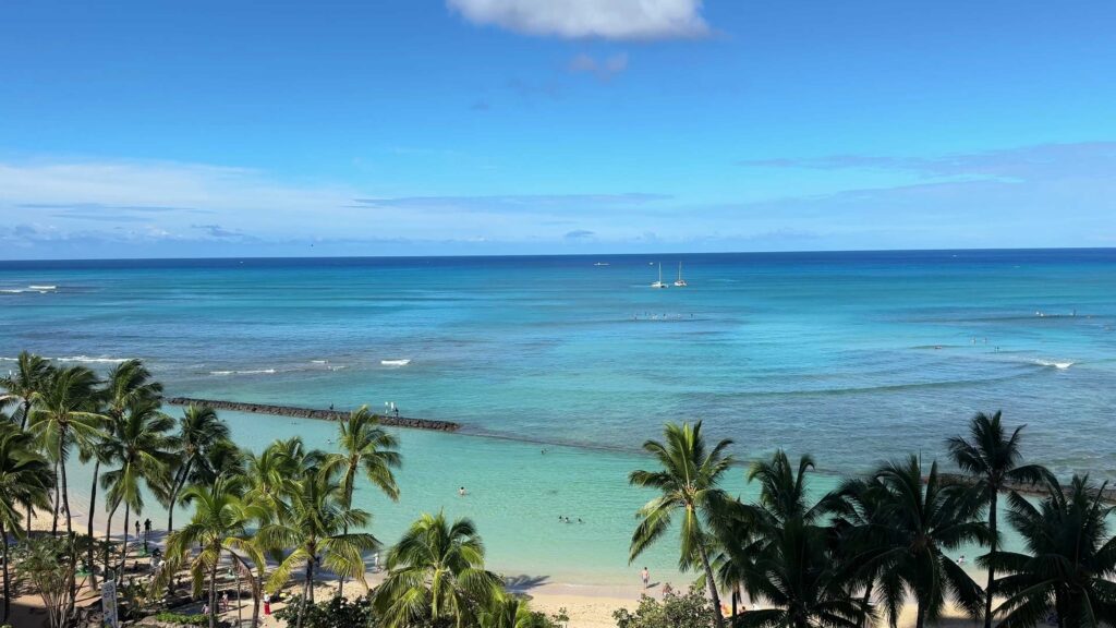 Elevated view of Waikiki Beach with palm trees, a protected swimming area, and sailboats offshore.