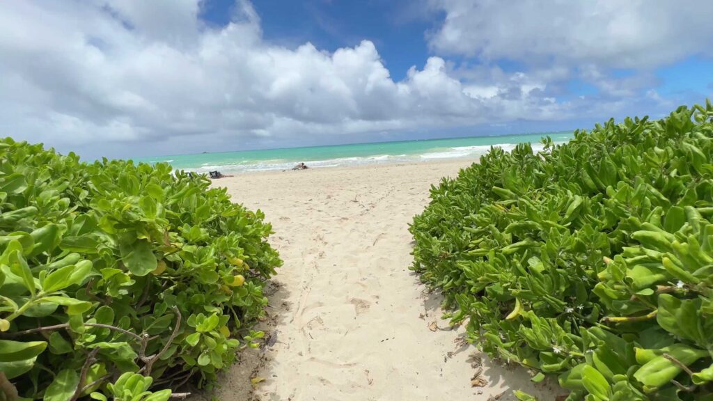 Sandy path between green beach shrubs leading to turquoise water at Kalama Beach Park in Kailua.