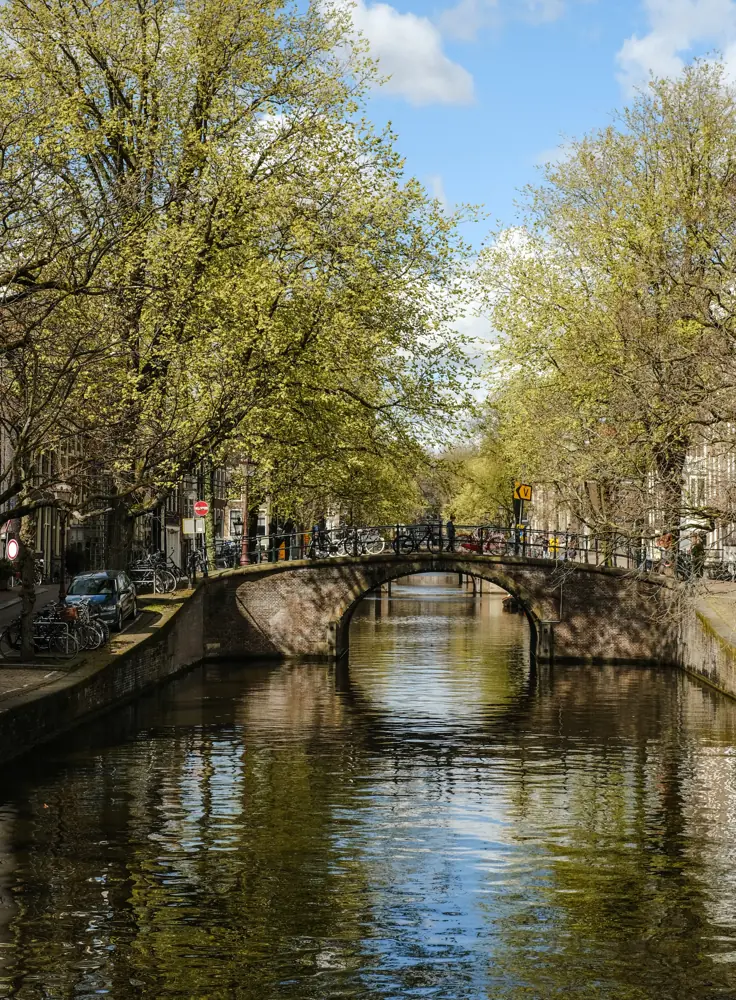 A stone bridge crosses an Amsterdam canal beneath trees with fresh spring leaves.