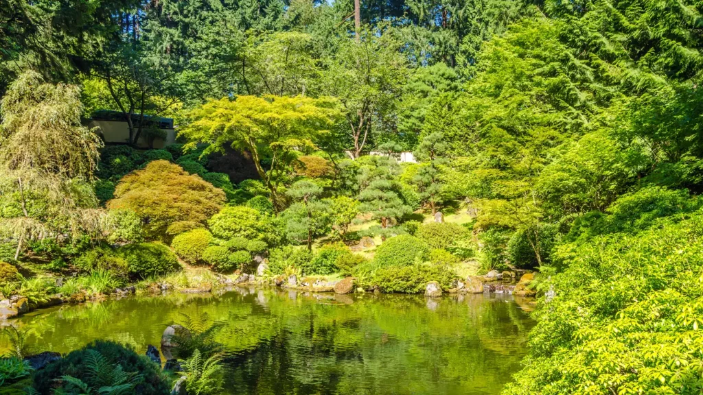 A pond reflecting green trees and carefully shaped plantings at Portland Japanese Garden